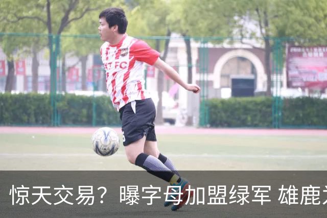 惊天交易？曝字母加盟绿军 雄鹿为布朗寻找第三方